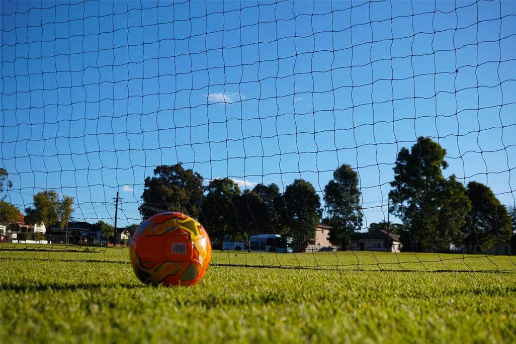 Ball Stop Barrier Nets with 2 Support Posts - 40mm sq (Multiple Sizes ...